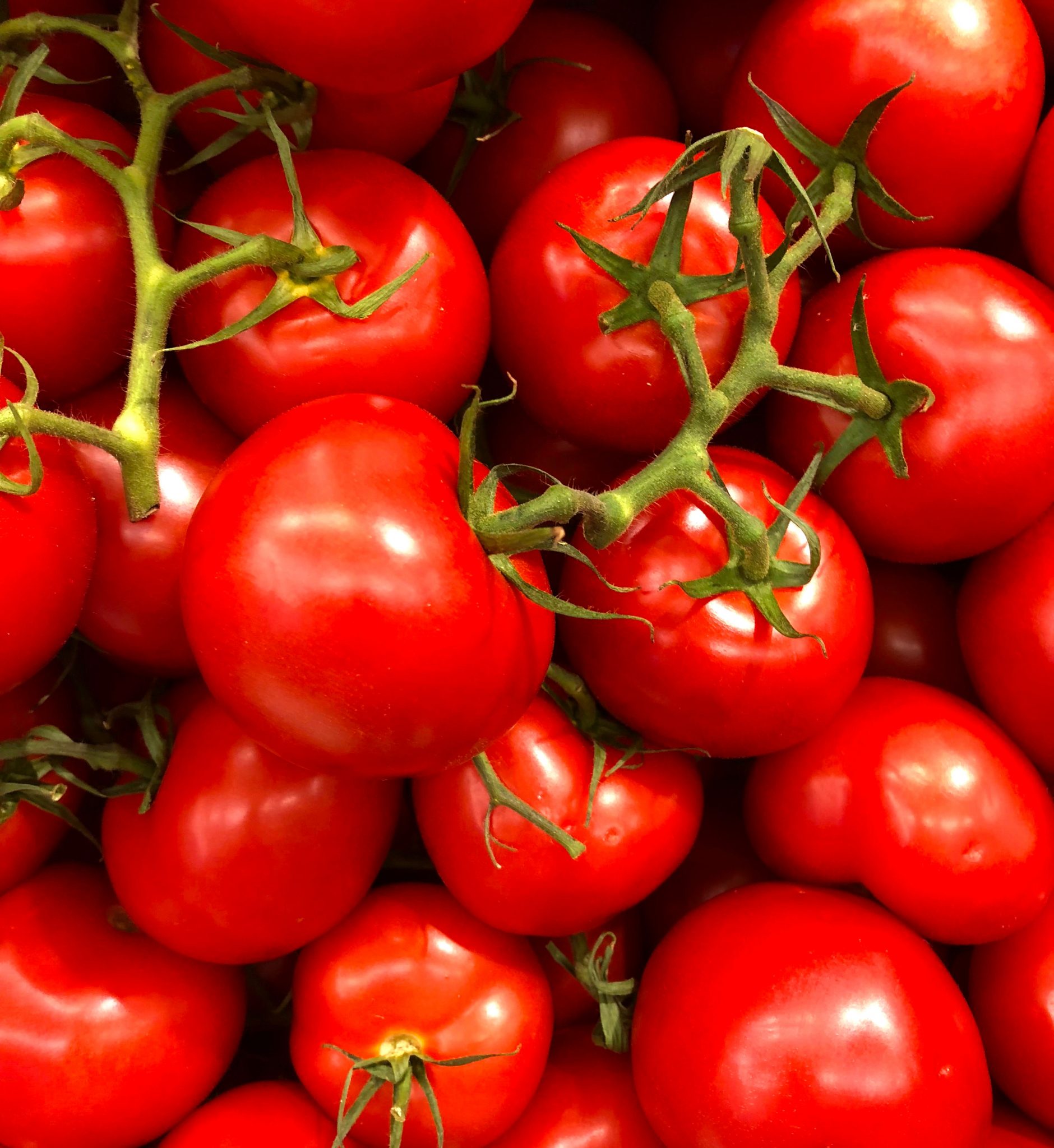 Jak wyhodować pomidory z nasion w domu - krok po kroku